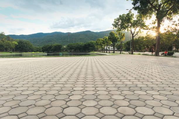 Best Professional Driveway Pavers  in Monroe Manor, NJ